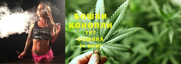 мяу мяу кристалл Богданович