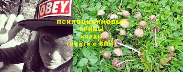 мяу мяу мука Богородск